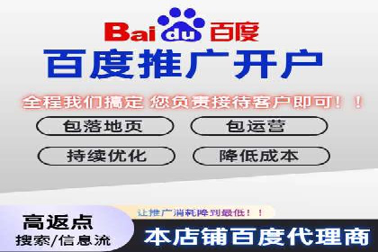 百度竞价推广运营策略：成功案例解析